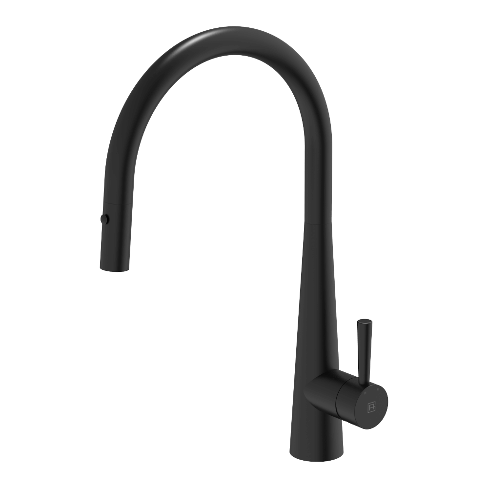 Gooseneck Pull Out with Dual Spray Function Kitchen Mixer 304