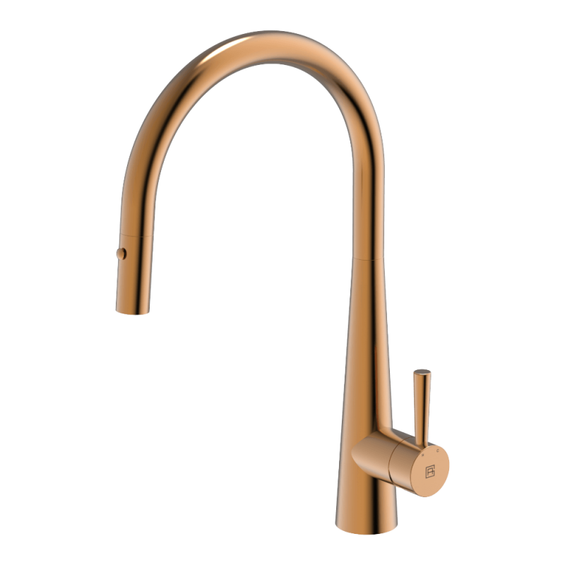 Gooseneck Pull Out with Dual Spray Function Kitchen Mixer 304