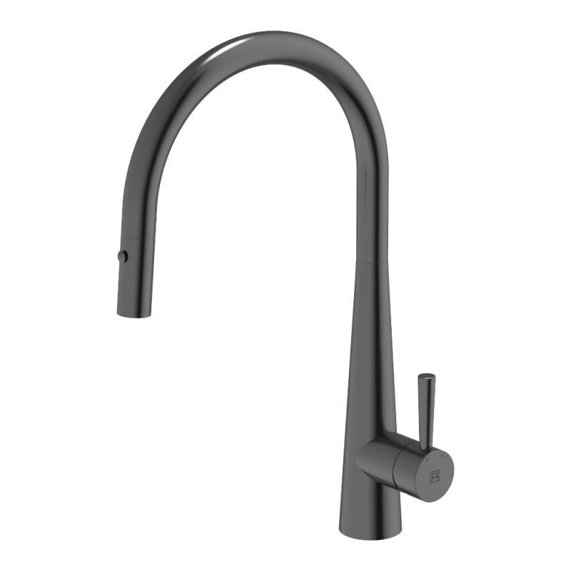 Gooseneck Pull Out with Dual Spray Function Kitchen Mixer 304