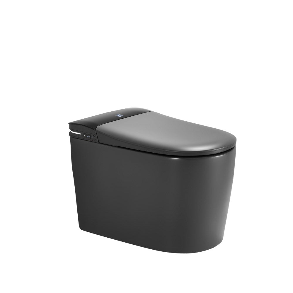 Matte Instant Heating Jet Siphon Type Flushing Smart Toilet 684*390*473mm