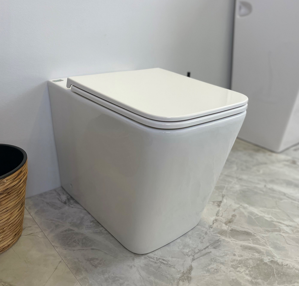 ENOX99 - MW 600*355*410mm Matte Rimless Flushing Wall Faced Floor Pan
