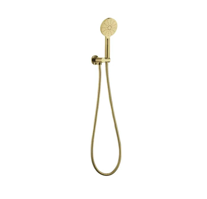 Pavia Brushed Gold Handheld Shower Set Round