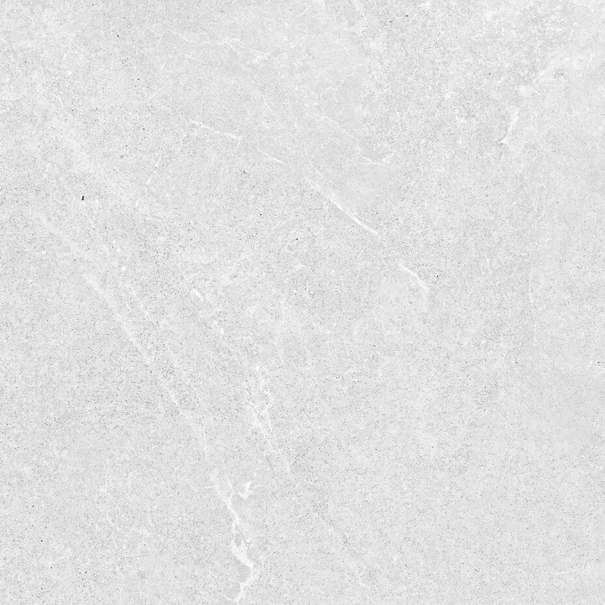 Richstone Light Grey Matt 300x600 / 600x600