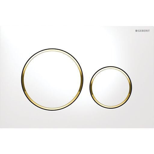Sigma20 with Trim ABS Dual Flush/Access Plate(Round Button)