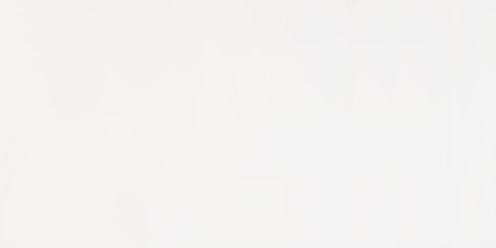 | White Matt Wall Tile | 300x600